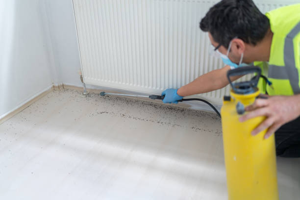 Best Insect Control  in Kirkl, IN